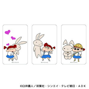 y10OFFN[|I12/11()1:59܂ŁzBACKYARD FAMILY N񂿂 ܂SݓXNAJ[h(8) [