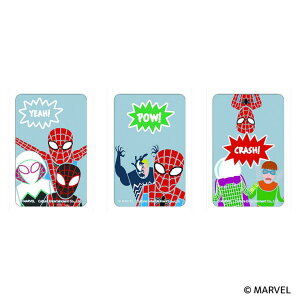 BACKYARD FAMILY MARVEL ܂SݓXXebJ[ XpC_[}(5) [