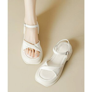 Miniministore T_ T}[T_ fB[X V[YEC