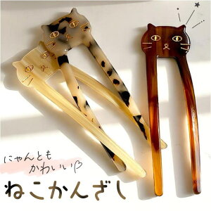 BACKYARD FAMILY wAANZT[ 񂴂 L wAANZT[