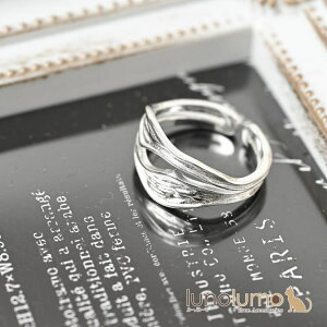 lunolumo w O fB[X ^ Vo[ Ȑ L JWA IV  t[TCY R ANZT[