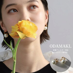 Noelmarket sAX t[v AM[Ή t[vsAX ςȂ p[ 18 fB[X i XeX ANZT[