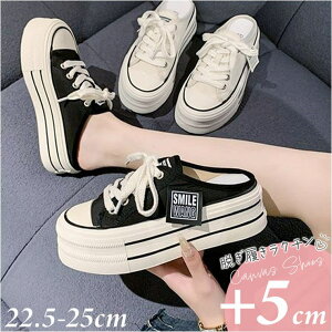 y10OFFN[|I11/11 ()1:59܂ŁzBACKYARD FAMILY ƂȂXj[J[  ɂ V[YEC