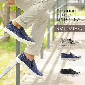 sankyo shokai _Ch pC\ Xb| Xj[J[ C\[ t Y U[V[Y YV[Y YXj[J[ {v C tbgV[Y  ֕ ֊v 27cm 26.5cm Mtg 