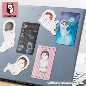 BACKYARD FAMILY NEKONOBA ƊGςIXebJ[ [