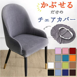 BACKYARD FAMILY ֎qJo[ w ItΉ pmycover12 [EƋ