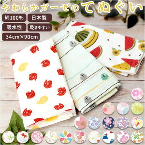 BACKYARD FAMILY 炩K[[̂Ăʂ oXEgCE|