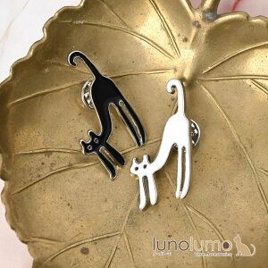 lunolumo sob` ys su[` fB[X L lR ˂ L L L v[g BR ANZT[