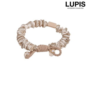 y10OFFN[|I12/11()1:59܂ŁzLUPIS [v{wAS wAANZT[