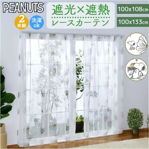 y10OFFN[|I12/11()1:59܂ŁzBACKYARD FAMILY LN^[ [XJ[e 2g QECeAG