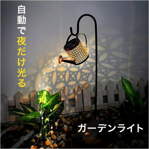 BACKYARD FAMILY \[[Cg 傤 t@bVG