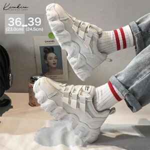 kirakiraShop ySHOPLISTzX|[cV[YS2F 4TCY  G Xj[J[ X|[cV[Y JWAV[Y Xj[J[ [Jbg v R [XAbv X|[