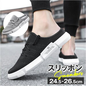 BACKYARD FAMILY ƂȂ Xj[J[ Y V[YEC