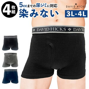 BACKYARD FAMILY yDAVID HICKSz݂Ȃ{NT[u[t@4g Ci[E