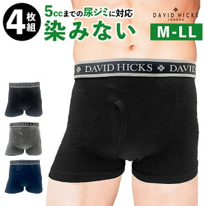 BACKYARD FAMILY yDAVID HICKSz݂Ȃ{NT[u[t@4g Ci[E