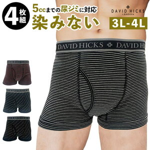 BACKYARD FAMILY yDAVID HICKSz݂Ȃ{NT[u[t@4g Ci[E