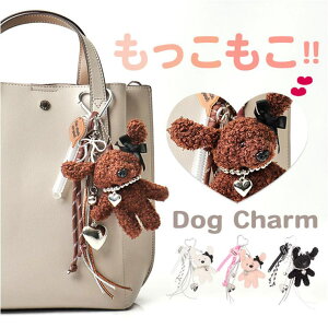 y10OFFN[|I12/11()1:59܂ŁzBACKYARD FAMILY {AhbO`[ t@bVG