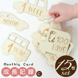 BACKYARD FAMILY xr[}X[J[h ؐ^[oi[  15Zbg [