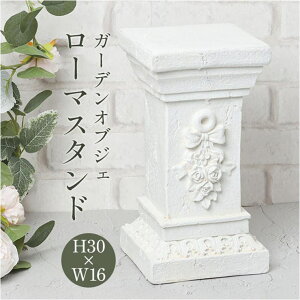 y10OFFN[|I11/27()1:59܂ŁzBACKYARD FAMILY K[fIuWF [}X^h QECeAG