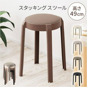 y10OFFN[|I11/27()1:59܂ŁzBACKYARD FAMILY X^bLOXc[ [EƋ