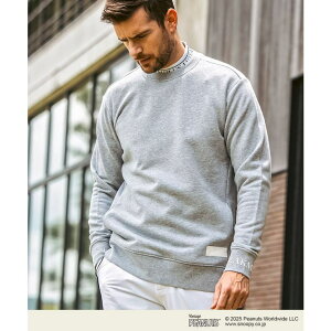 SHIFFON LUXEAKMPLUS NXGCPCGvX St Xk[s[ g[jOvI[o[ Y   uh StEFA X|[cEFA GOLF pcEY{