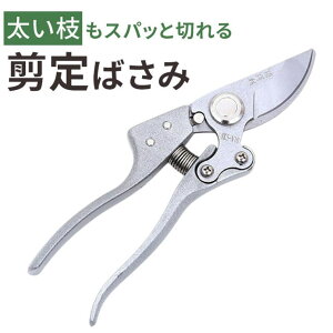 【10%OFFクーポン配布中!10/27(月)9:59まで】BACKYARD FAMILY 剪定ばさみ 枝切りバサミ ファッション雑貨