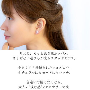 y10OFFN[|I12/11()1:59܂ŁzANZT[VbvPIENA sAX co T[WJXeX fB[X AM[Ή p Vv  l Ԃ X^bhsAX K