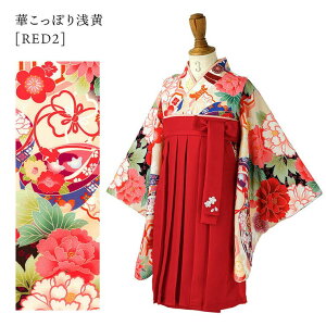 y10OFFN[|I11/11 ()1:59܂ŁzCatherine Cottage xr[уs[X ̎q ѕ xr[ xr[  a H {Q 100j  IWia LTRe[W 