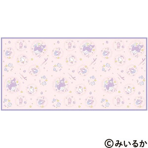 Skater XP[^[ W[V[g 2lp qǂ  C RpNg jɂ sNjbNV[g skater VS3 ݂邩 邢邩 CJ ObY LN^[yW[}bg ܂ ܂肽