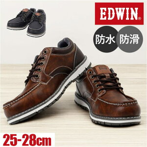 BACKYARD FAMILY EDWIN hEϊ Xj[J[ V[YEC