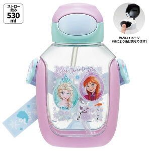 Skater Xg[ ^b`  530ml vbV LbY q }O Xg[t skater XP[^[ PDSH6DX AiƐ̏ 25N Ai fBYj[ ̎q qyXg[  NA 