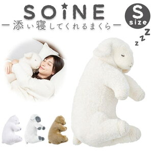 y10OFFN[|I11/11 ()1:59܂ŁzBACKYARD FAMILY SOiNE YQ܂ S QECeAG