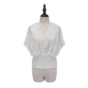 candy-house gbvX VlbN [X p[eB[  Jbg\[  킢 1906 gbvX