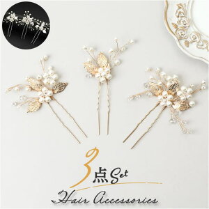 BACKYARD FAMILY 񂴂 3{Zbg Us wAANZT[