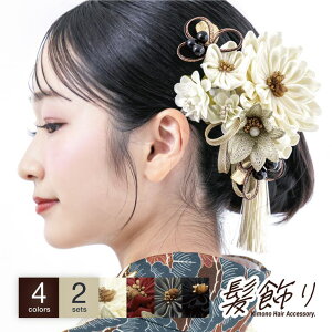 SOUBIEN  Zbg wAANZT[ l Ǝ  U  a     O[ e  ܂ݍ׍H tFCNp[  ݃J[  킢 amp ߁E