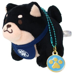 cinemacollection  }XRbg `[t ʂBC {[`F[  GXPCWp v[g LN^[ ObY 