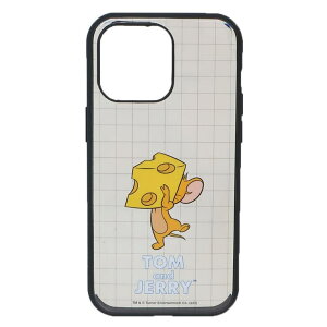 cinemacollection �g�����W�F���[ iPhone15 IIIIfit Clear 2023 iPhone 6.7 inch 3 LENS model�Ή��P�[�X �W�F���[ iPhone15ProMax ���[�i�[�u���U�[�X �O���}���f�B�[�Y �C