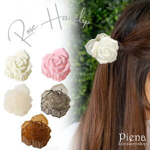 ANZT[VbvPIENA [Y oXNbv ԃ`[t KN  fB[X wAANZT[ i  tH[}  \ Ǝ w a LO v[g M