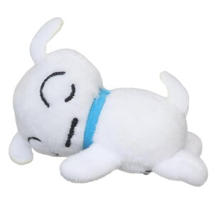 y10OFFN[|I11/27()1:59܂Łzcinemacollection N񂿂 wAANZ ₷Nbv V ACvjO wANbv wAANZT[ AjLN^[ ObY wA