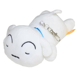 cinemacollection N񂿂  ₷pXP[X V GXPCWp ʋ ʊw [t AjLN^[ ObY 