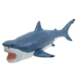 y10OFFN[|I11/11 ()1:59܂Łzcinemacollection Kh tBMA vqXgbNCt rj[f \tg^Cv  tFobg Ð Vׂߋ ObY ʔ Vl}R