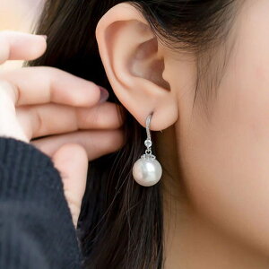 shoppinggo p[sAX tbNsAX h sAX Ԃ fB[X ANZT[@Vv 񎟉  ANZT[