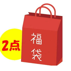 【ポイント2倍＆クーポン！3/11(水) 1:59まで】shoppinggo 福袋 レディース 2点入り福袋 ニットが2点入り イベント
