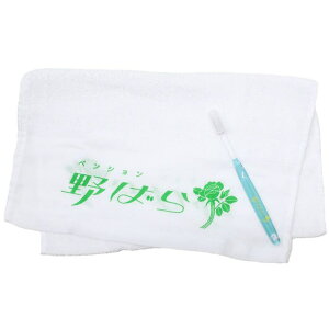 cinemacollection gm[ f^Zbg ^IuVZbg ΂ Green Flash s G gx ObY {fBEnhEtbgPA