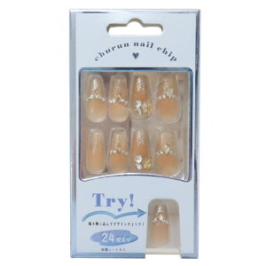 cinemacollection コスメ雑貨 ネイルチップ ロングスクエアタイプ ORANGE BEIGE GLITTER カミオジャパン 付け爪 おしゃれ グッズ ネイル・マニキュア