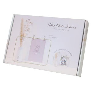 cinemacollection ~btB[ tHgt[ C[tHgt[ ~btB[ fBbNu[i eB[Yt@Ng[ ʐ^ CeA G{LN^[ ObY QECeAG