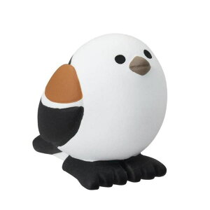 cinemacollection concombre q }XRbg V}GiK ς fR v[g CeA 킢 ObY QECeAG