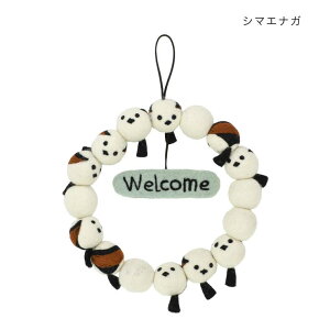 cinemacollection Aj}ObY CeAG tFg[X EFJ V}GiK Aj} gR[|[V 킢   ObY QECeAG