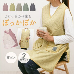 y10OFFN[|I12/11()1:59܂ŁzBACKYARD FAMILY J_ {A_CLgGv HELb`pi