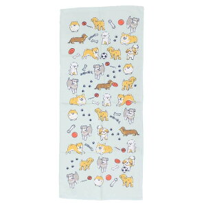 yyI25OFFN[|Izcinemacollection tFCX^I ЖʃK[[vgO^I 񂾂炯MT  ~gC V 킢 ObY oXEgCE|